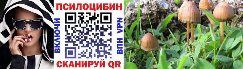 закладки  Змеиногорск  MEGA маркетплейс  Псилоцибиновые грибы мухоморы 